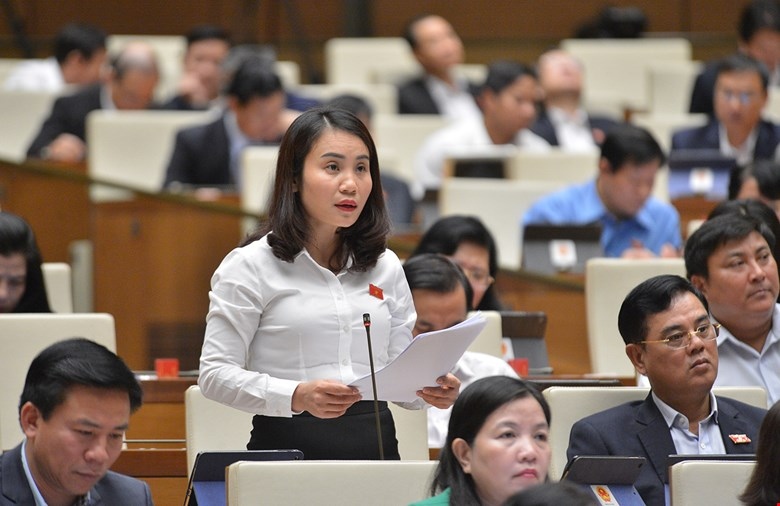 "Hệ thống pháp luật của Việt Nam liên tục được phát triển"